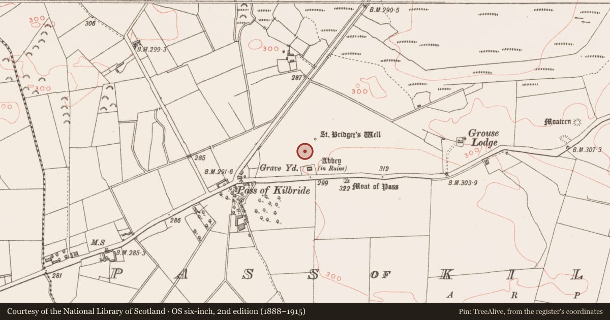 Ordnance Survey six-inch map, 2nd edition (1888–1915) covering the location of Field system, Pass of Kilbride, County Westmeath, with a pin at the register's coordinates
