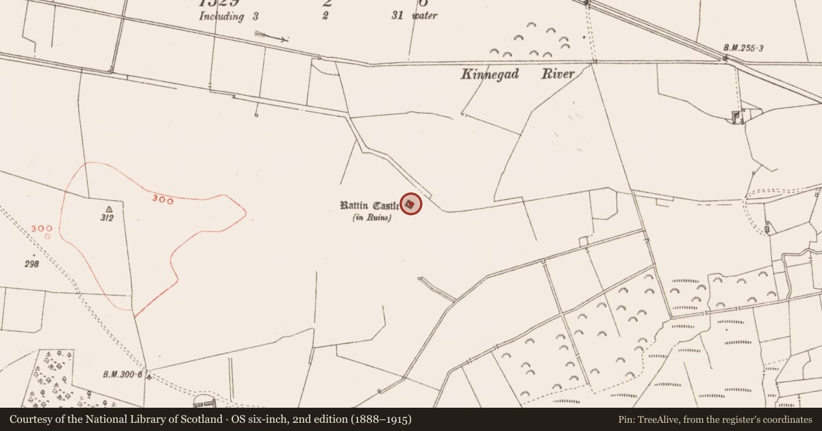 Ordnance Survey six-inch map, 2nd edition (1888–1915) covering the location of Castle - tower house, Rattin, County Westmeath, with a pin at the register's coordinates