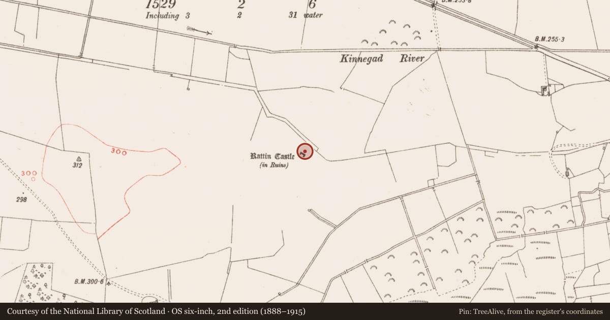 Ordnance Survey six-inch map, 2nd edition (1888–1915) covering the location of Bawn, Rattin, County Westmeath, with a pin at the register's coordinates
