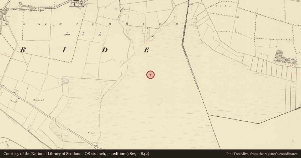 Ordnance Survey six-inch map, 1st edition (1829–1842) covering the location of Road - class 3 togher, Pass of Kilbride, County Westmeath, with a pin at the register's coordinates