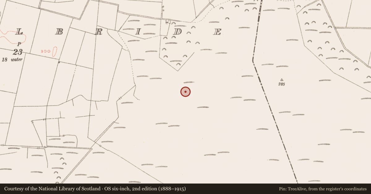 Ordnance Survey six-inch map, 2nd edition (1888–1915) covering the location of Structure - peatland, Pass of Kilbride, County Westmeath, with a pin at the register's coordinates