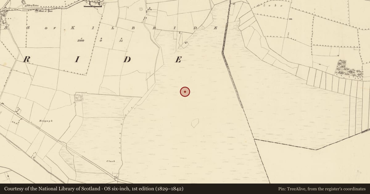 Ordnance Survey six-inch map, 1st edition (1829–1842) covering the location of Structure - peatland, Pass of Kilbride, County Westmeath, with a pin at the register's coordinates