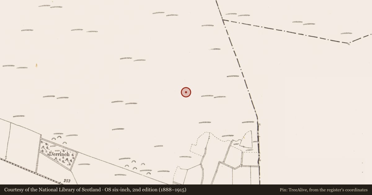 Ordnance Survey six-inch map, 2nd edition (1888–1915) covering the location of Road - class 3 togher, Pass of Kilbride, County Westmeath, with a pin at the register's coordinates