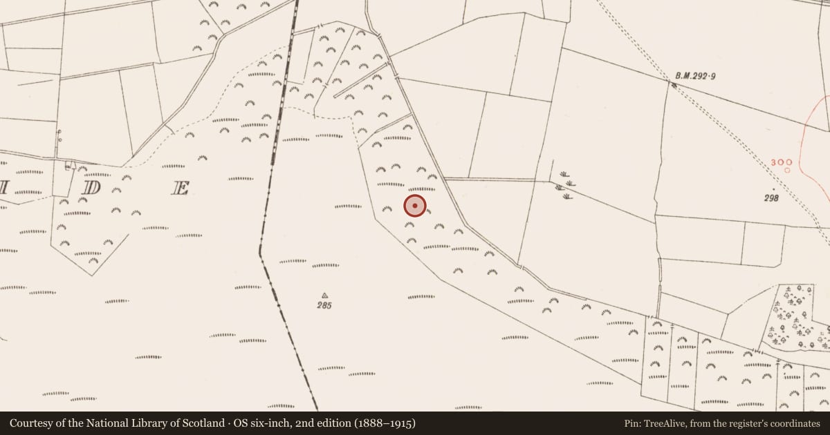 Ordnance Survey six-inch map, 2nd edition (1888–1915) covering the location of Road - class 3 togher, Rattin, County Westmeath, with a pin at the register's coordinates