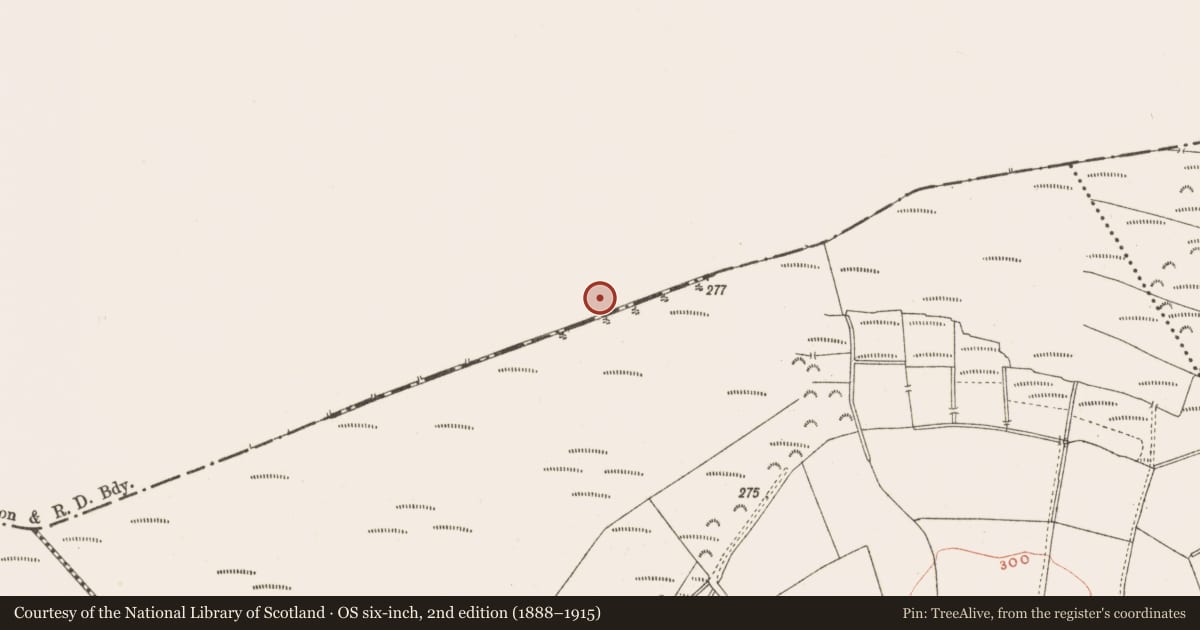 Ordnance Survey six-inch map, 2nd edition (1888–1915) covering the location of Road - class 3 togher, Rattin, County Westmeath, with a pin at the register's coordinates