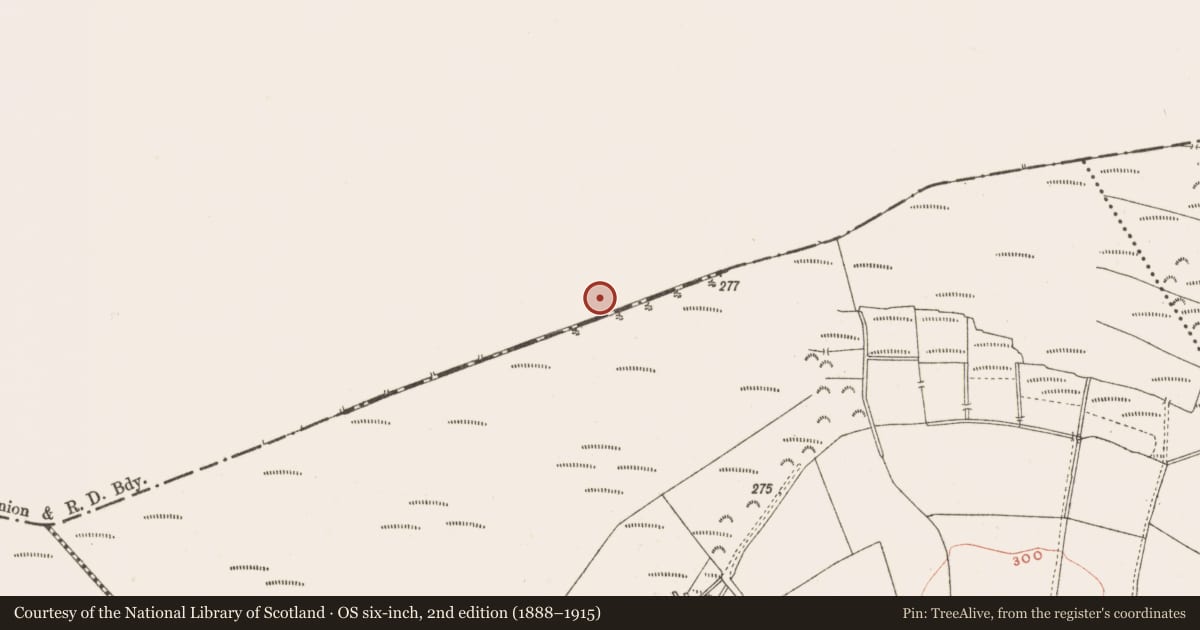 Ordnance Survey six-inch map, 2nd edition (1888–1915) covering the location of Structure - peatland, Rattin, County Westmeath, with a pin at the register's coordinates