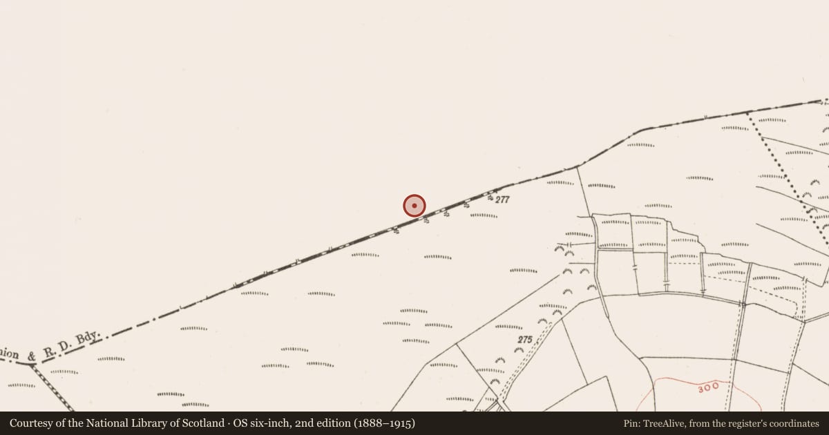 Ordnance Survey six-inch map, 2nd edition (1888–1915) covering the location of Structure - peatland, Rattin, County Westmeath, with a pin at the register's coordinates