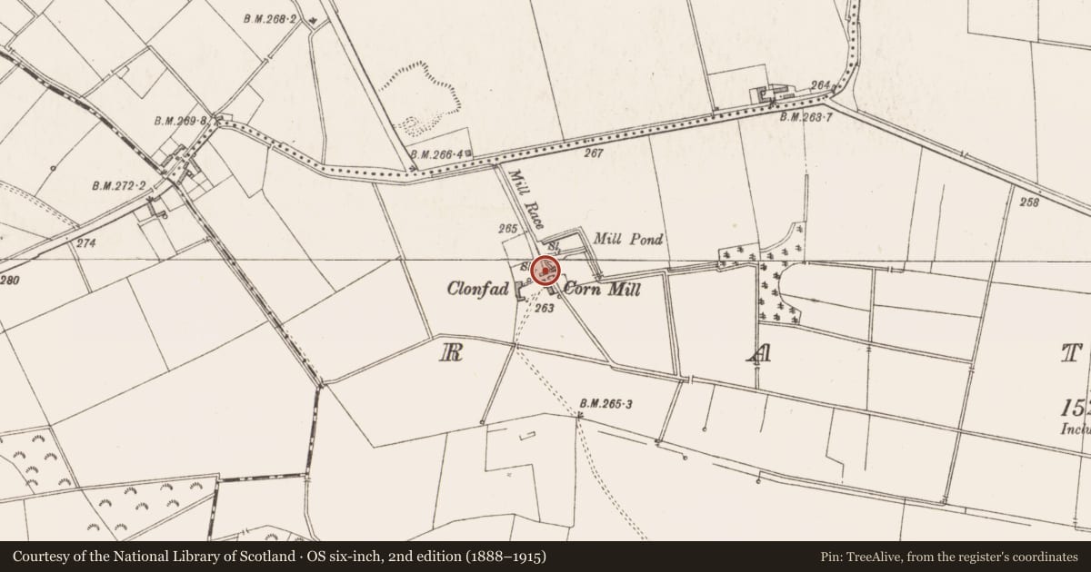 Ordnance Survey six-inch map, 2nd edition (1888–1915) covering the location of Mill - corn, Rattin, County Westmeath, with a pin at the register's coordinates