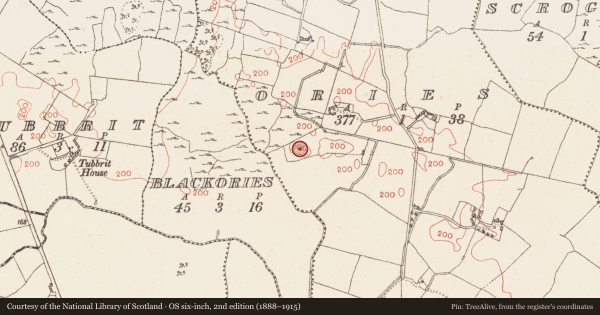 Ordnance Survey six-inch map, 2nd edition (1888–1915) covering the location of Earthwork, Ories, County Westmeath, with a pin at the register's coordinates