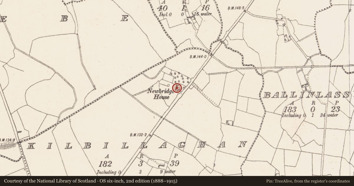 Ordnance Survey six-inch map, 2nd edition (1888–1915) covering the location of Castle - unclassified, Kilbillaghan, County Westmeath, with a pin at the register's coordinates