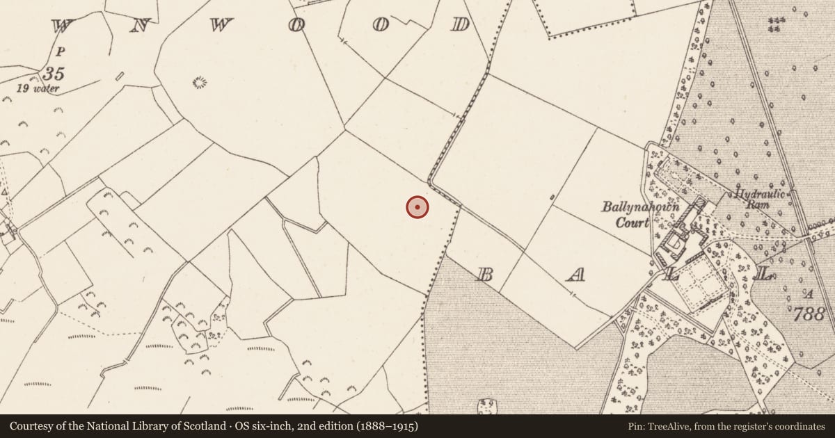 Ordnance Survey six-inch map, 2nd edition (1888–1915) covering the location of Bullaun stone, Ballynahown, County Westmeath, with a pin at the register's coordinates