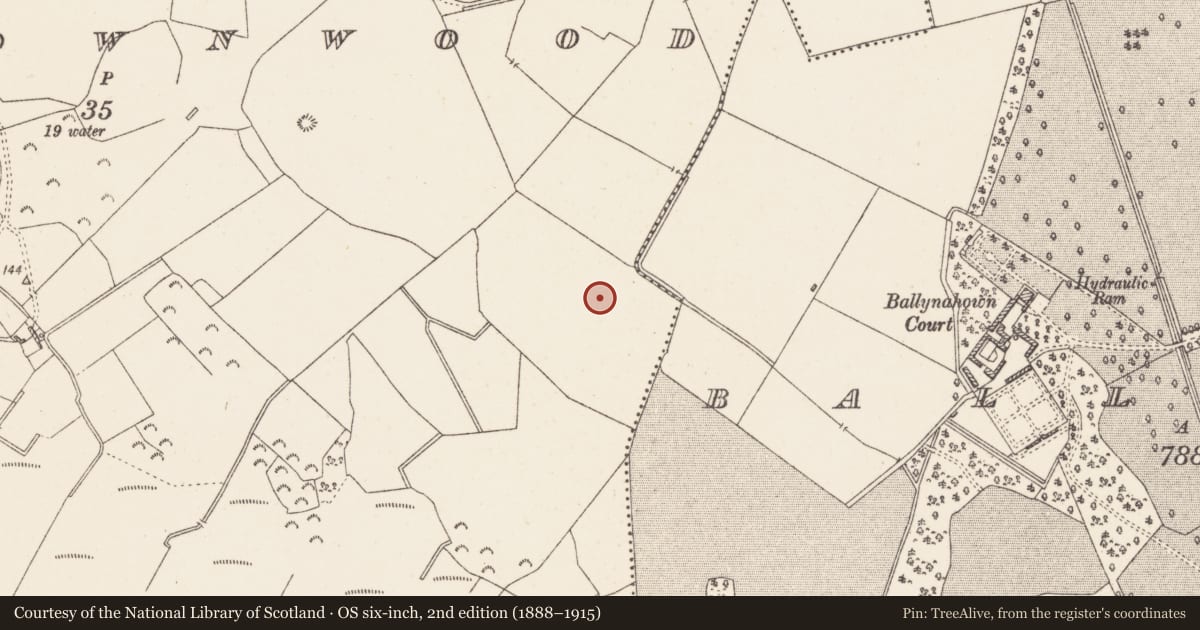 Ordnance Survey six-inch map, 2nd edition (1888–1915) covering the location of Bullaun stone, Ballynahown, County Westmeath, with a pin at the register's coordinates