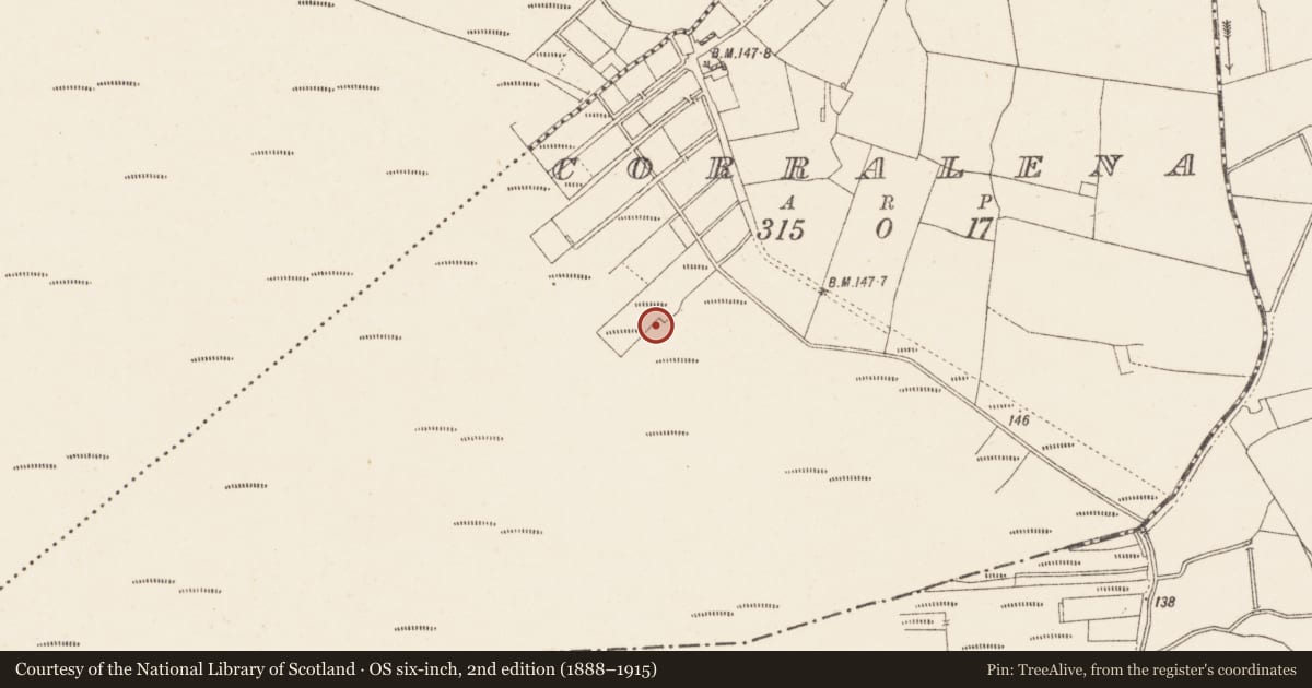 Ordnance Survey six-inch map, 2nd edition (1888–1915) covering the location of Structure - peatland, Corralena, County Westmeath, with a pin at the register's coordinates