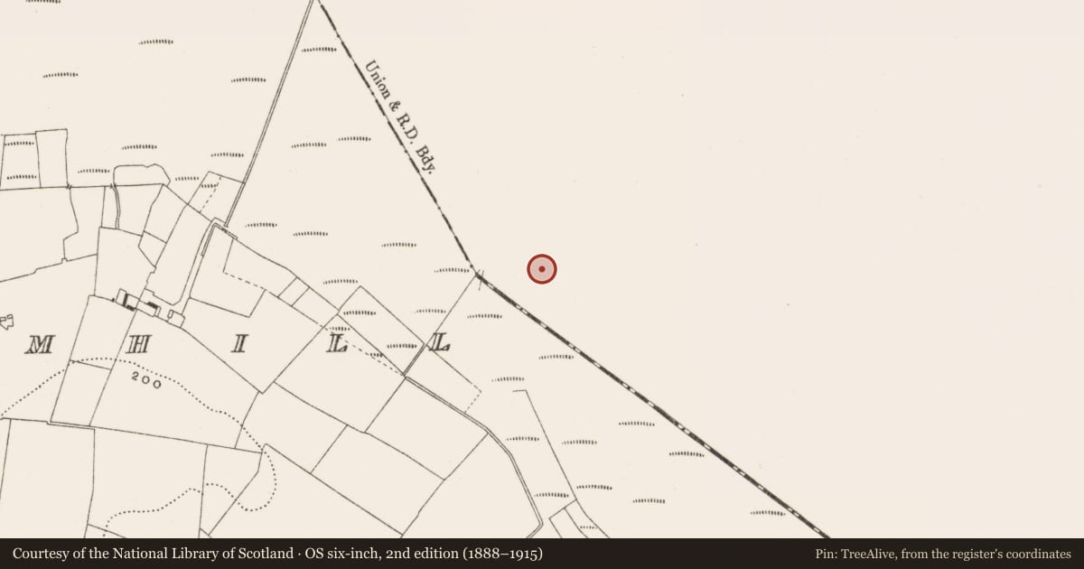 Ordnance Survey six-inch map, 2nd edition (1888–1915) covering the location of Road - class 3 togher, Ballynahownwood, County Westmeath, with a pin at the register's coordinates