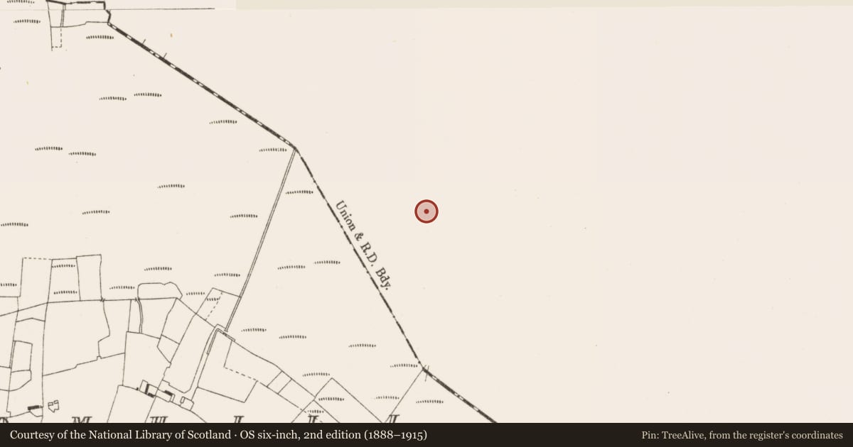 Ordnance Survey six-inch map, 2nd edition (1888–1915) covering the location of Road - gravel/stone trackway - peatland, Ballynahownwood, County Westmeath, with a pin at the register's coordinates