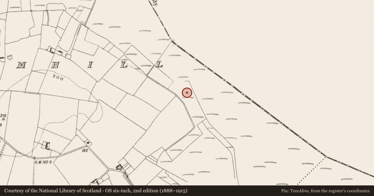 Ordnance Survey six-inch map, 2nd edition (1888–1915) covering the location of Road - class 2 togher, Ballynahownwood, County Westmeath, with a pin at the register's coordinates