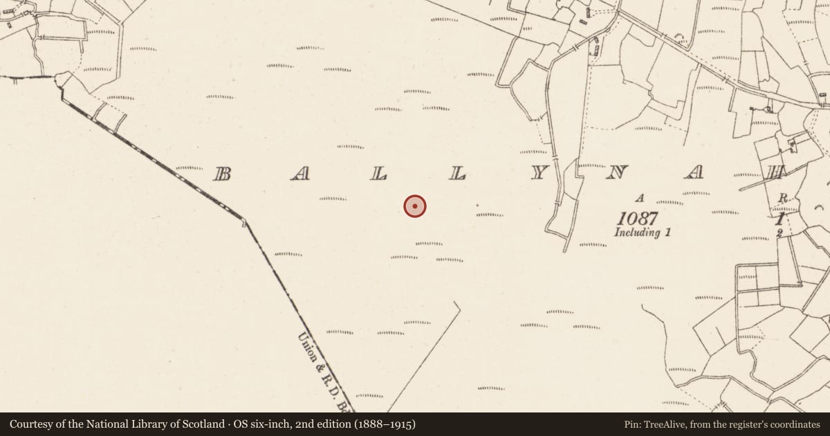 Ordnance Survey six-inch map, 2nd edition (1888–1915) covering the location of Road - class 3 togher, Ballynahownwood, County Westmeath, with a pin at the register's coordinates