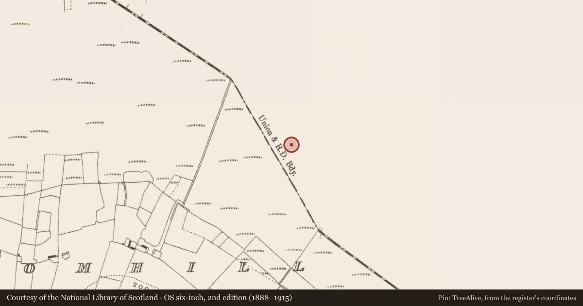 Ordnance Survey six-inch map, 2nd edition (1888–1915) covering the location of Structure - peatland, Ballynahownwood, County Westmeath, with a pin at the register's coordinates