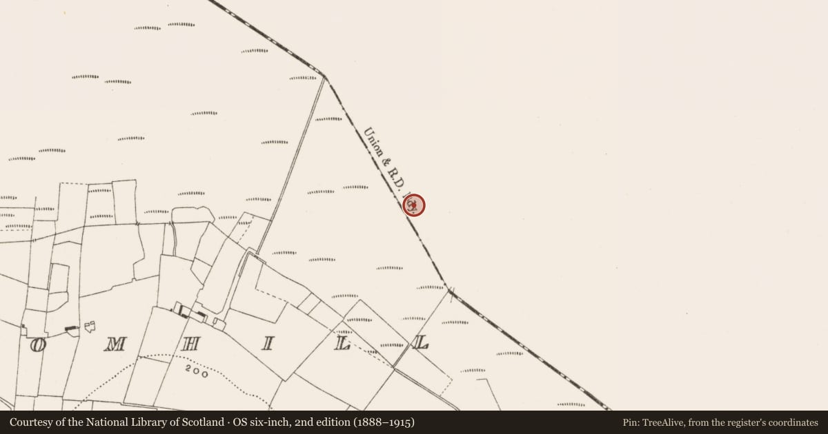 Ordnance Survey six-inch map, 2nd edition (1888–1915) covering the location of Road - class 3 togher, Ballynahownwood, County Westmeath, with a pin at the register's coordinates
