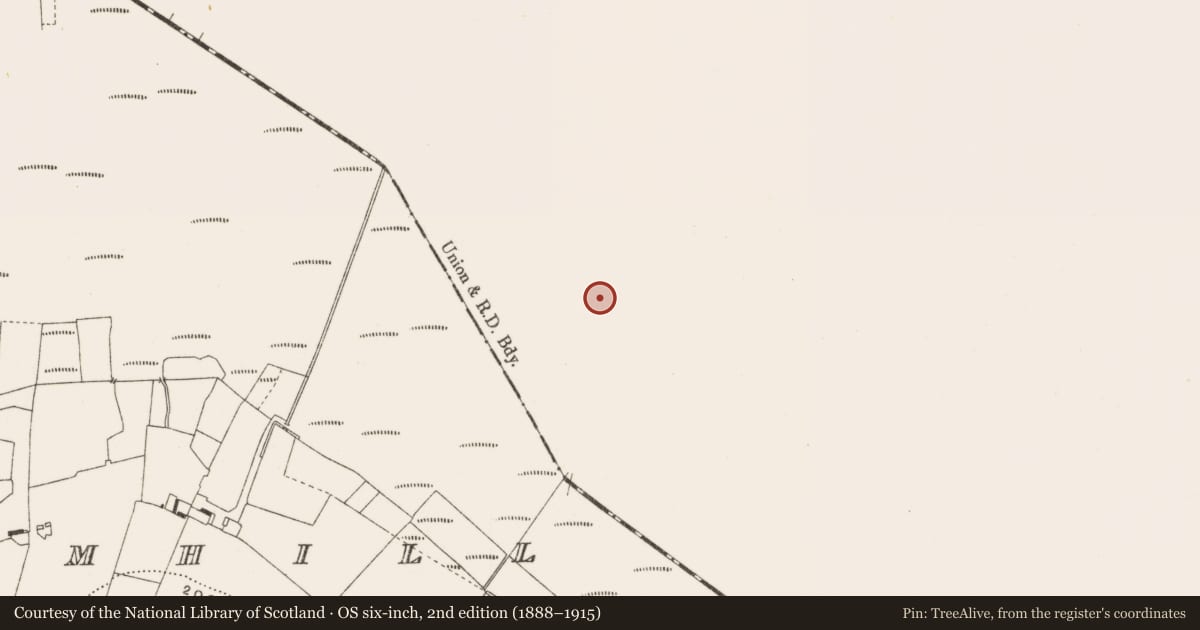 Ordnance Survey six-inch map, 2nd edition (1888–1915) covering the location of Structure - peatland, Ballynahownwood, County Westmeath, with a pin at the register's coordinates