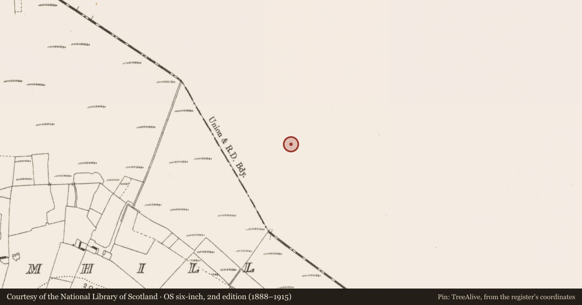 Ordnance Survey six-inch map, 2nd edition (1888–1915) covering the location of Road - class 3 togher, Ballynahownwood, County Westmeath, with a pin at the register's coordinates