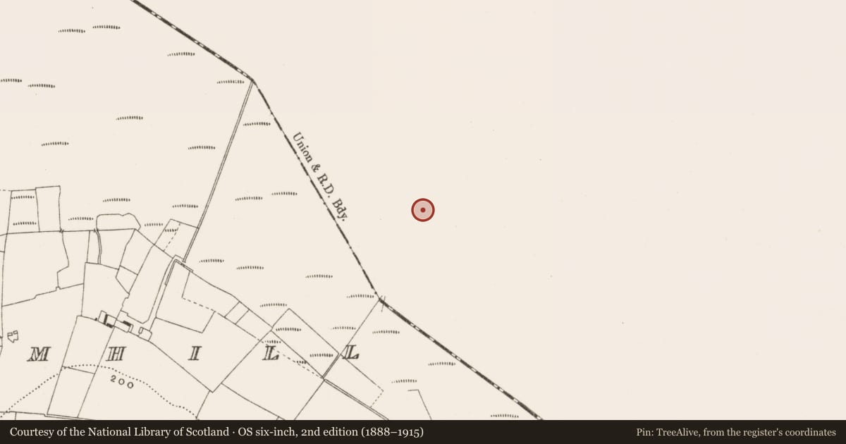 Ordnance Survey six-inch map, 2nd edition (1888–1915) covering the location of Road - class 3 togher, Ballynahownwood, County Westmeath, with a pin at the register's coordinates