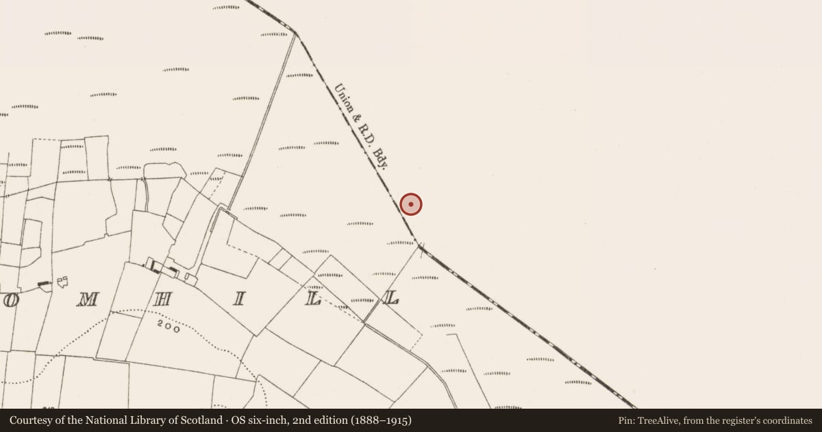 Ordnance Survey six-inch map, 2nd edition (1888–1915) covering the location of Road - class 3 togher, Ballynahownwood, County Westmeath, with a pin at the register's coordinates