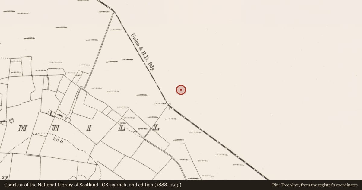 Ordnance Survey six-inch map, 2nd edition (1888–1915) covering the location of Road - class 3 togher, Ballynahownwood, County Westmeath, with a pin at the register's coordinates