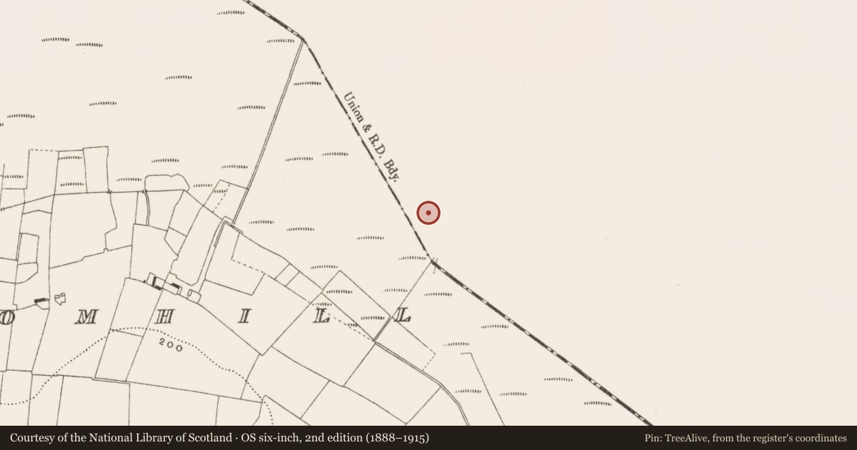 Ordnance Survey six-inch map, 2nd edition (1888–1915) covering the location of Road - class 3 togher, Ballynahownwood, County Westmeath, with a pin at the register's coordinates