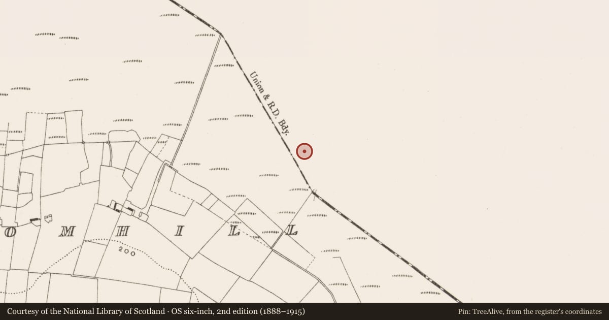 Ordnance Survey six-inch map, 2nd edition (1888–1915) covering the location of Road - class 3 togher, Ballynahownwood, County Westmeath, with a pin at the register's coordinates