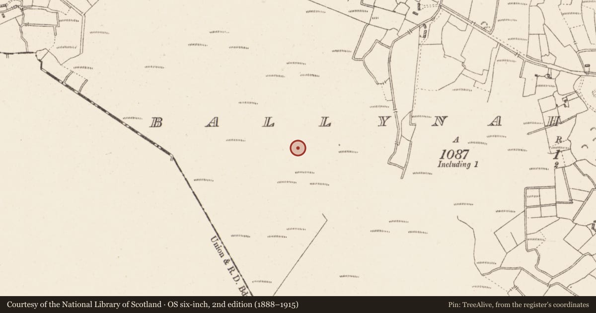 Ordnance Survey six-inch map, 2nd edition (1888–1915) covering the location of Road - class 3 togher, Ballynahownwood, County Westmeath, with a pin at the register's coordinates