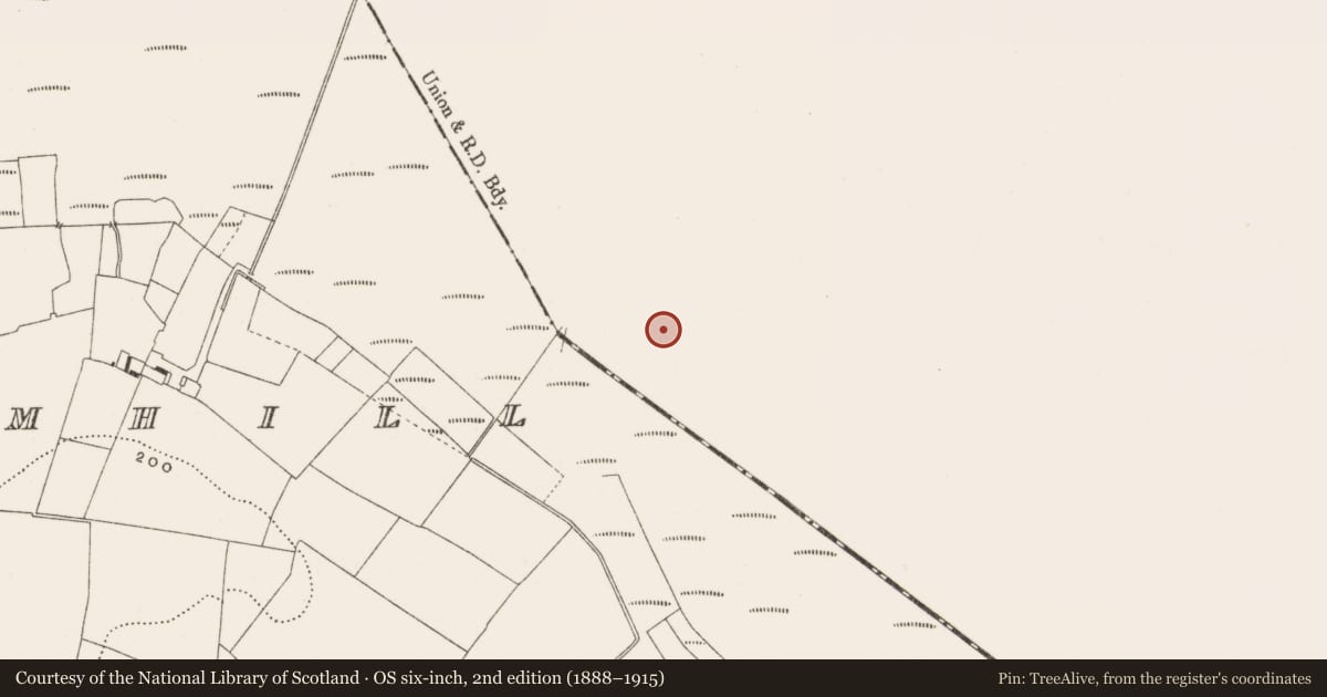 Ordnance Survey six-inch map, 2nd edition (1888–1915) covering the location of Road - class 3 togher, Ballynahownwood, County Westmeath, with a pin at the register's coordinates