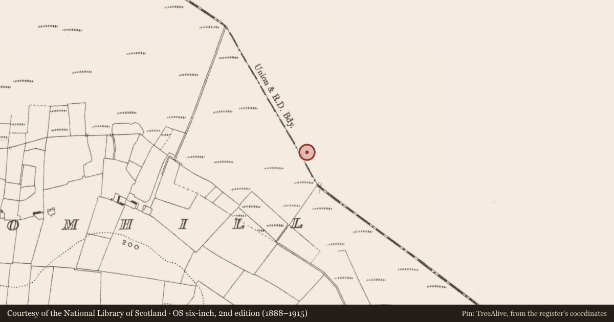 Ordnance Survey six-inch map, 2nd edition (1888–1915) covering the location of Road - class 3 togher, Ballynahownwood, County Westmeath, with a pin at the register's coordinates
