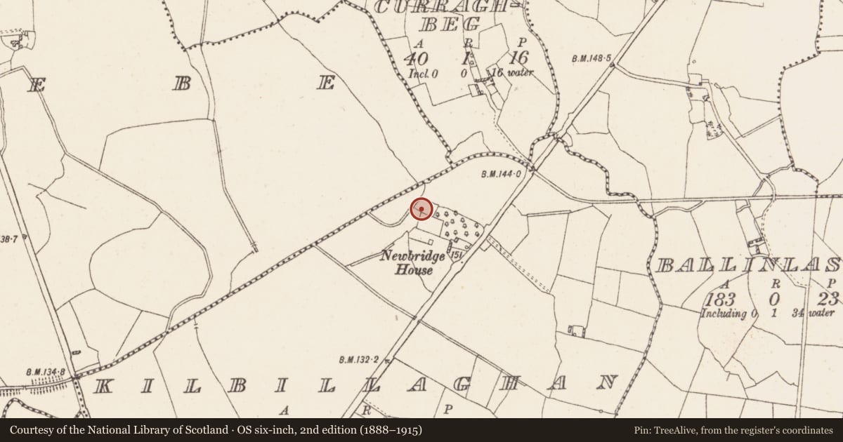 Ordnance Survey six-inch map, 2nd edition (1888–1915) covering the location of Mill - unclassified, Kilbillaghan, County Westmeath, with a pin at the register's coordinates