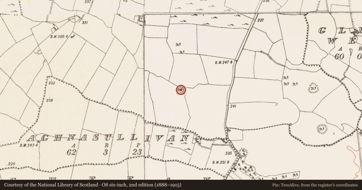 Ordnance Survey six-inch map, 2nd edition (1888–1915) covering the location of Ringfort - rath, Killogeenaghan, County Westmeath, with a pin at the register's coordinates