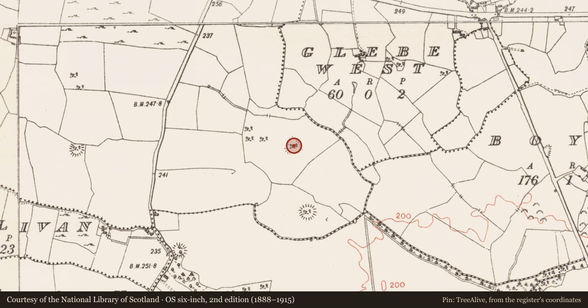 Ordnance Survey six-inch map, 2nd edition (1888–1915) covering the location of Ringfort - rath, Killogeenaghan, County Westmeath, with a pin at the register's coordinates