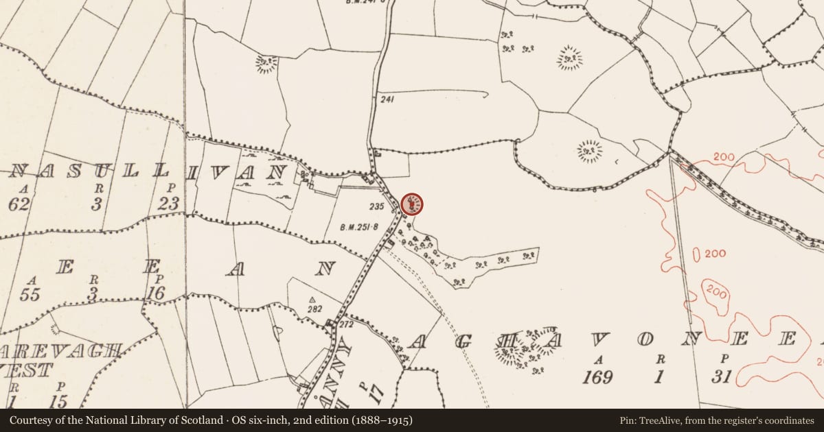 Ordnance Survey six-inch map, 2nd edition (1888–1915) covering the location of Ringfort - rath, Aghavoneen, County Westmeath, with a pin at the register's coordinates
