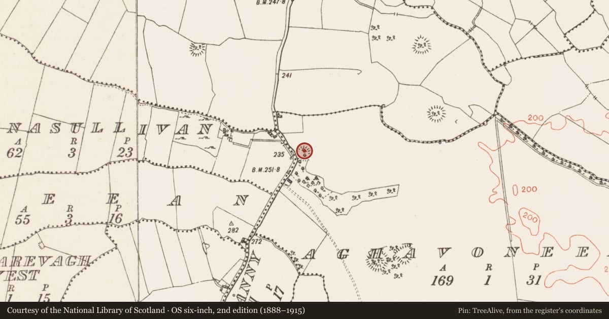 Ordnance Survey six-inch map, 2nd edition (1888–1915) covering the location of Souterrain, Aghavoneen, County Westmeath, with a pin at the register's coordinates