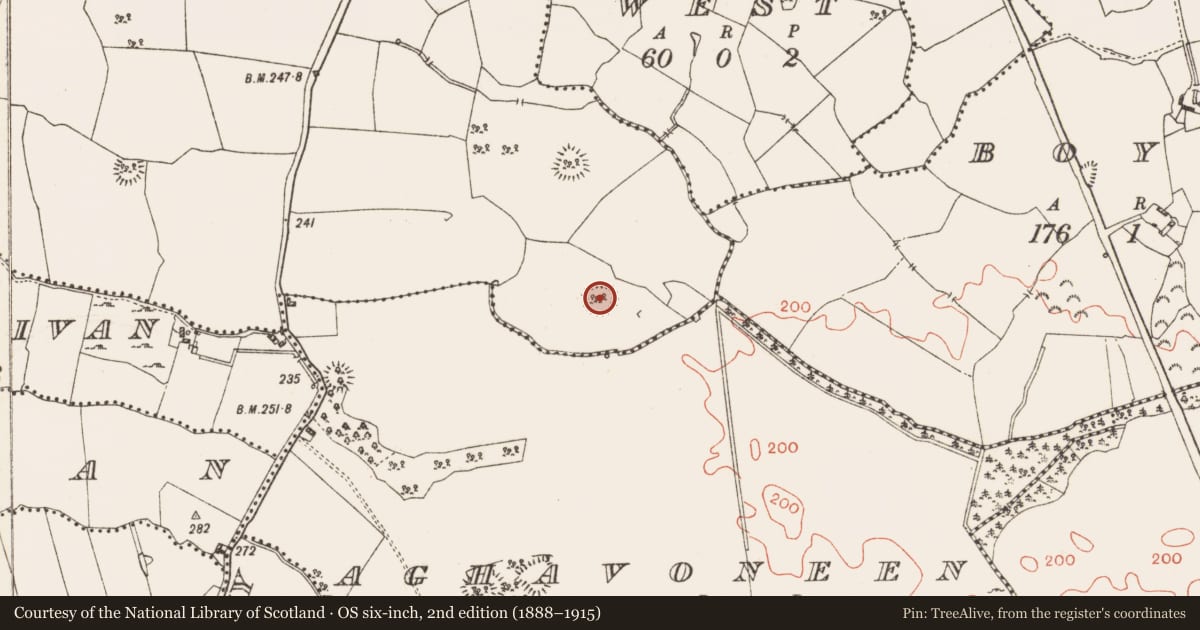 Ordnance Survey six-inch map, 2nd edition (1888–1915) covering the location of Ringfort - rath, Killogeenaghan, County Westmeath, with a pin at the register's coordinates