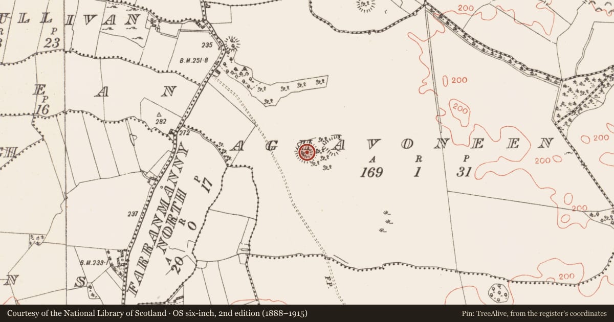 Ordnance Survey six-inch map, 2nd edition (1888–1915) covering the location of Castle - ringwork, Aghavoneen, County Westmeath, with a pin at the register's coordinates