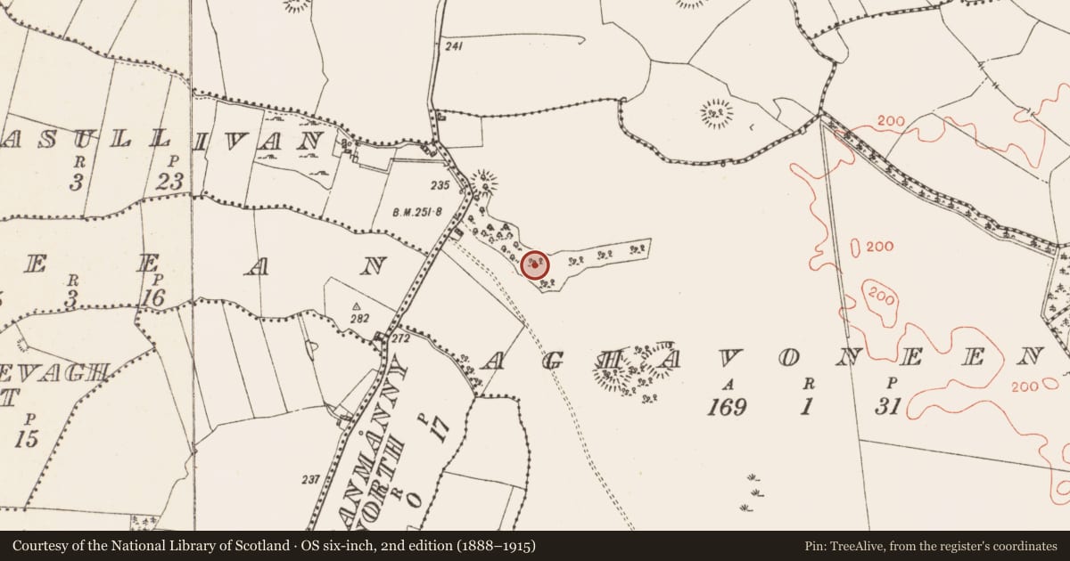 Ordnance Survey six-inch map, 2nd edition (1888–1915) covering the location of Ringfort - rath, Aghavoneen, County Westmeath, with a pin at the register's coordinates