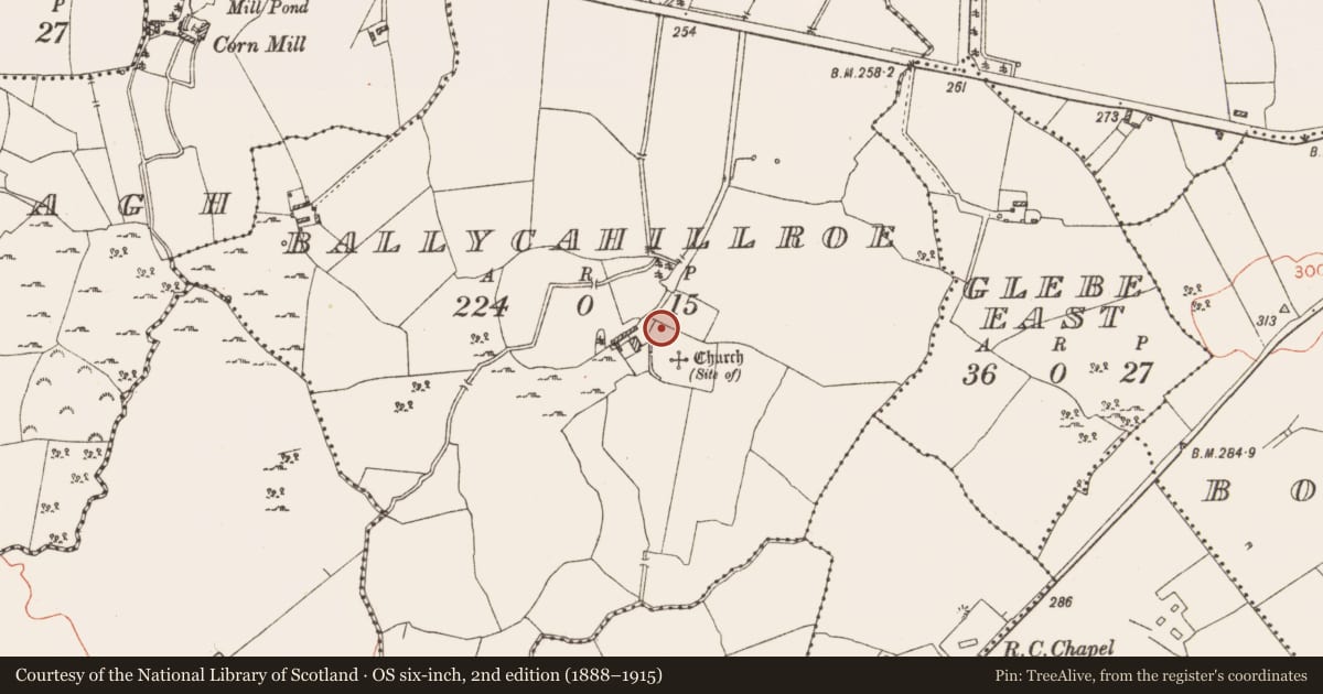 Ordnance Survey six-inch map, 2nd edition (1888–1915) covering the location of Castle - unclassified, Ballycahillroe, County Westmeath, with a pin at the register's coordinates