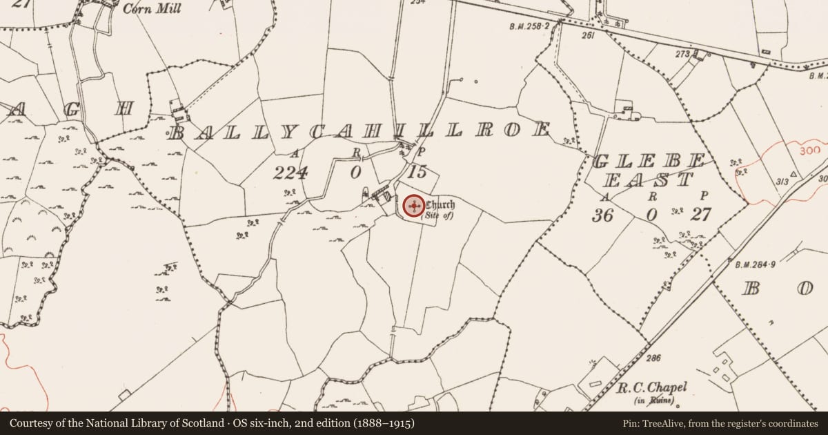Ordnance Survey six-inch map, 2nd edition (1888–1915) covering the location of Ecclesiastical enclosure, Ballycahillroe, County Westmeath, with a pin at the register's coordinates