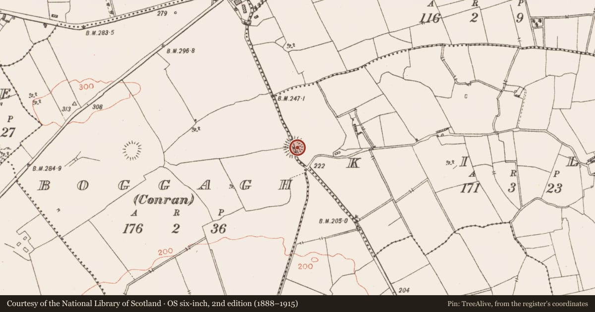 Ordnance Survey six-inch map, 2nd edition (1888–1915) covering the location of Ringfort - rath, Boggagh (Eighter), Kill, County Westmeath, with a pin at the register's coordinates