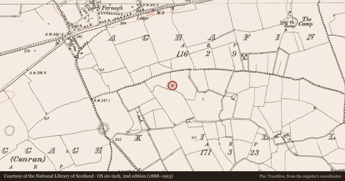 Ordnance Survey six-inch map, 2nd edition (1888–1915) covering the location of Ringfort - rath, Kill, County Westmeath, with a pin at the register's coordinates