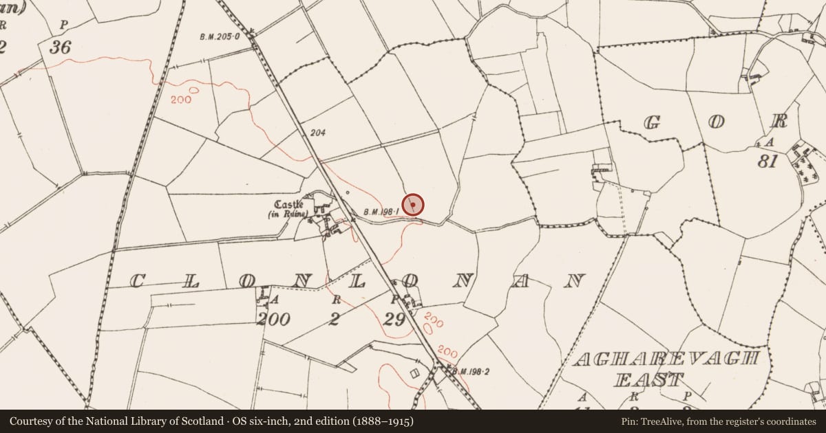 Ordnance Survey six-inch map, 2nd edition (1888–1915) covering the location of Bullaun stone, Clonlonan, County Westmeath, with a pin at the register's coordinates