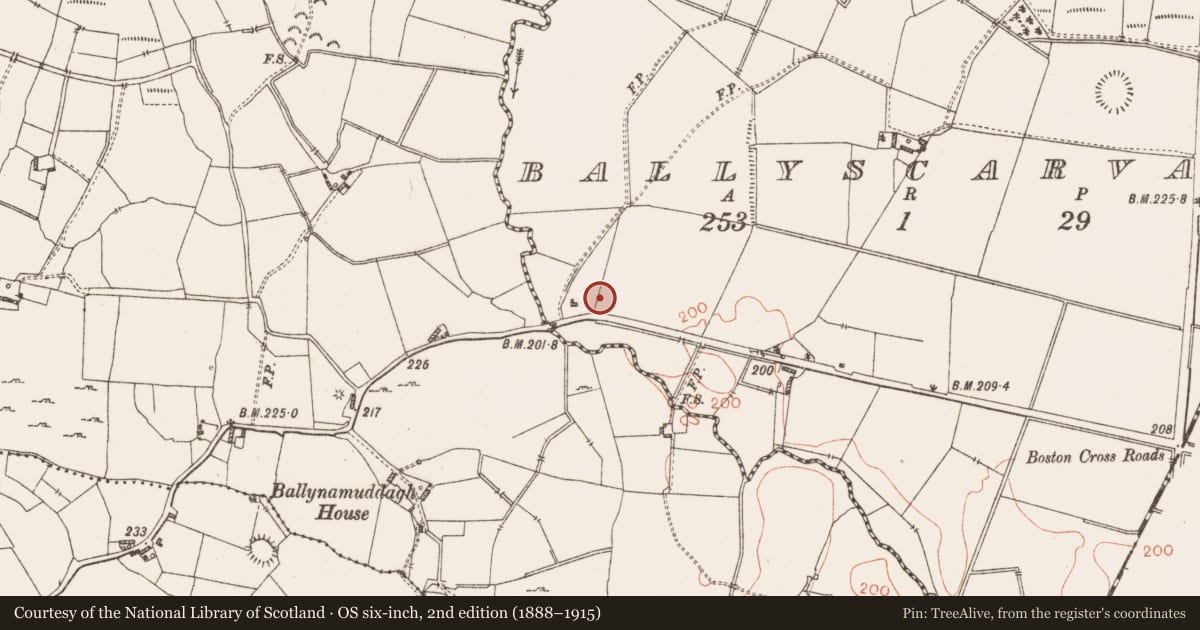 Ordnance Survey six-inch map, 2nd edition (1888–1915) covering the location of Earthwork, Ballyscarvan, County Westmeath, with a pin at the register's coordinates