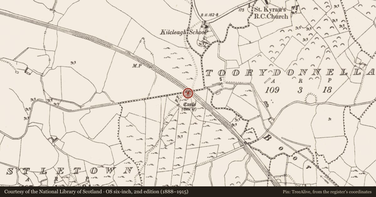 Ordnance Survey six-inch map, 2nd edition (1888–1915) covering the location of Bawn, Bolinarra, County Westmeath, with a pin at the register's coordinates