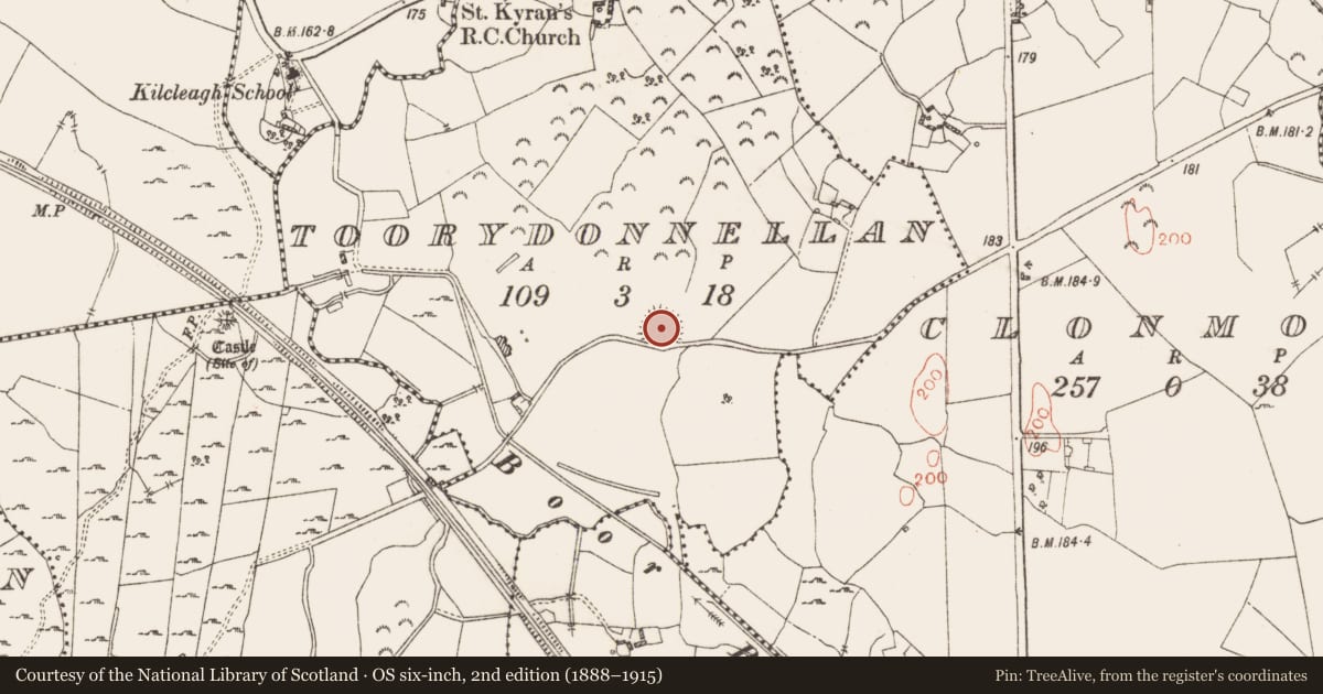 Ordnance Survey six-inch map, 2nd edition (1888–1915) covering the location of Ringfort - rath, Toorydonnellan, County Westmeath, with a pin at the register's coordinates