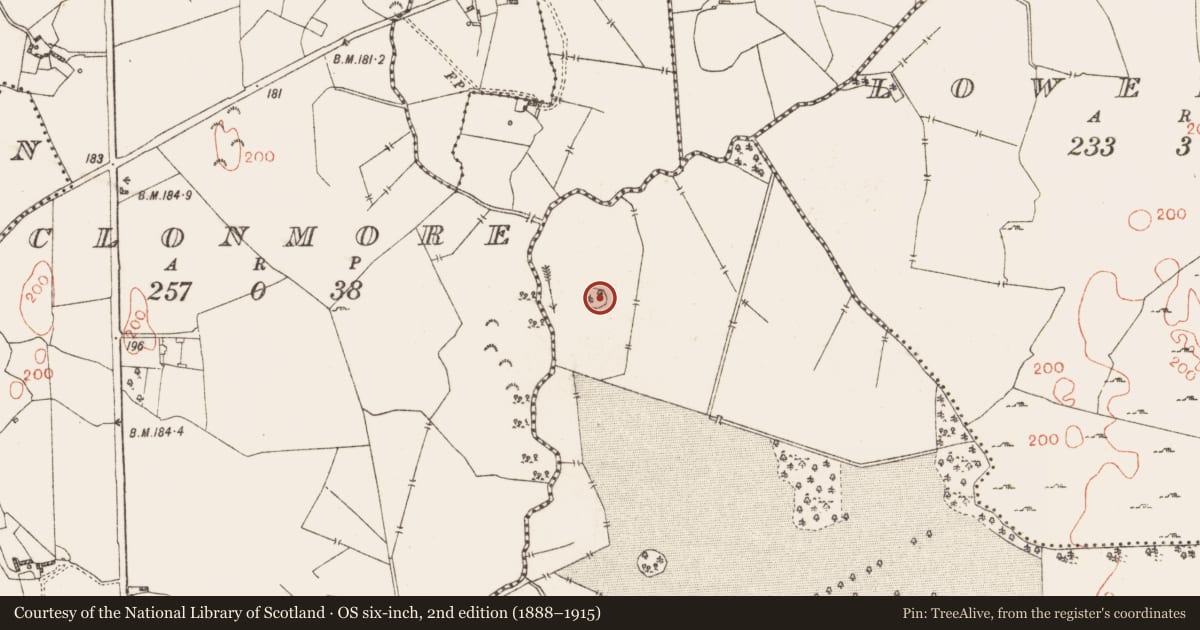 Ordnance Survey six-inch map, 2nd edition (1888–1915) covering the location of Ringfort - rath, Hall, County Westmeath, with a pin at the register's coordinates